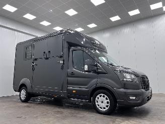 Avarii auto utilitare Ford Transit 2.0 TDCI Autom. STX Paardenwagen Navi Clima 2024/8