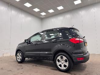 Ford EcoSport 1.0 EcoBoost Trend Navi Clima picture 3
