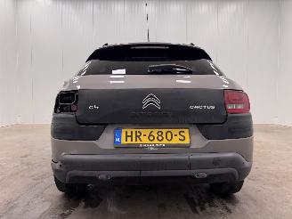 Citroën C4 cactus 1.2 PureTech Shine Navi Clima picture 6
