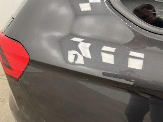 Volkswagen Passat Variant 1.5 TSI DSG Clima picture 19