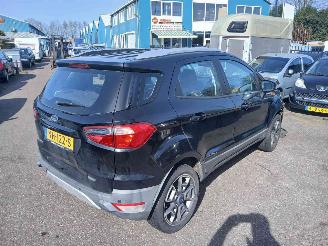 Ford Escort EcoSport (JK8) SUV 1.0 EcoBoost 12V 125 (M1JJ) [92kW] picture 3