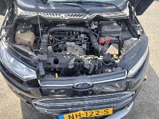 Ford Escort EcoSport (JK8) SUV 1.0 EcoBoost 12V 125 (M1JJ) [92kW] picture 7