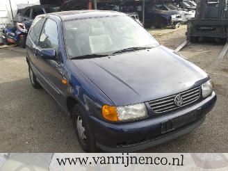 Volkswagen Polo (6n1) hatchback 1.6i 75 (aea)  (10-1994/07-1995) picture 2