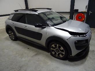 Citroën C4 cactus 1.2 THP picture 2