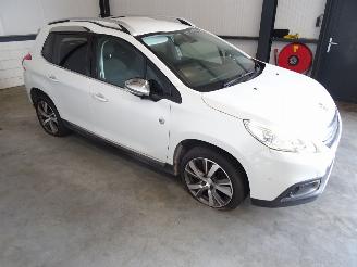 Peugeot 2008 1.6 HDI picture 3