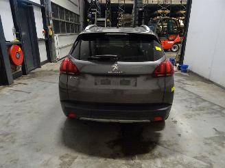 Peugeot 2008 1.6 HDI picture 2