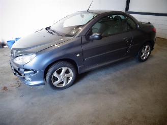 disassembly passenger cars Peugeot 206 CABRIO 1.6 16V AUTOMAAT 2005/7