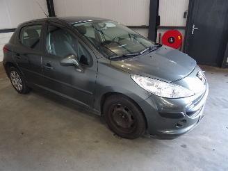  Peugeot 207 1.4 16V 2007/1