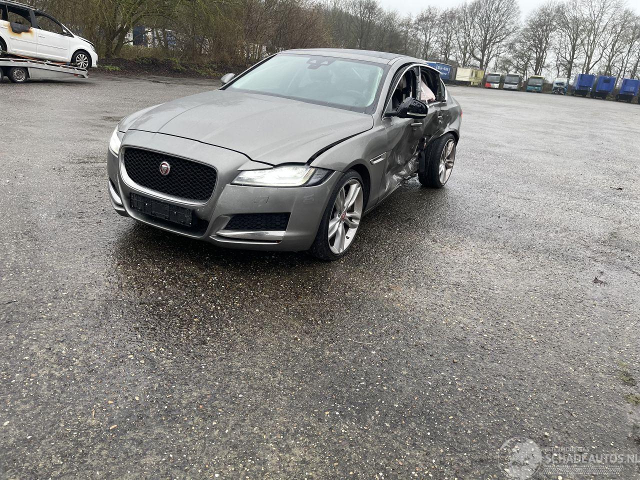 Jaguar XF 3.0d portfolio