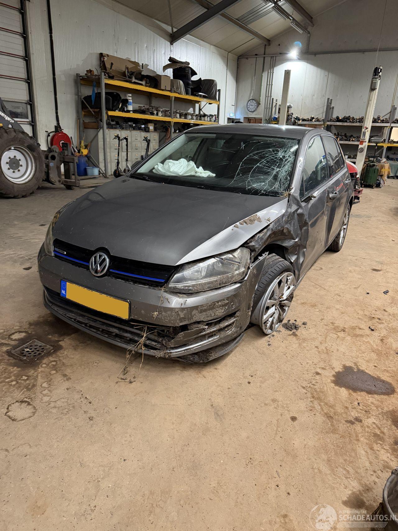 Volkswagen Golf 7 1,6 TDI