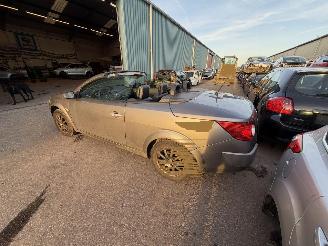 Renault Mégane Coupe 2.0 16V cabrio picture 4