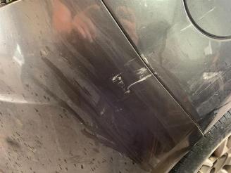 Fiat Bravo Bravo (198A), Hatchback, 2006 / 2014 1.4 16V picture 8