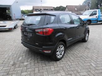 Ford EcoSport  picture 6