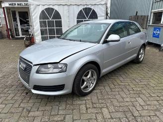 Audi A3 A3 (8P1), Hatchback 3-drs, 2003 / 2012 1.6 picture 3