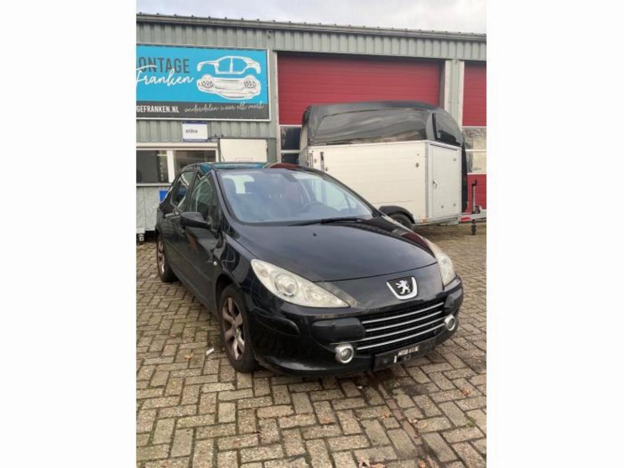Peugeot 307 307 (3A/C/D), Hatchback, 2000 / 2009 2.0 16V