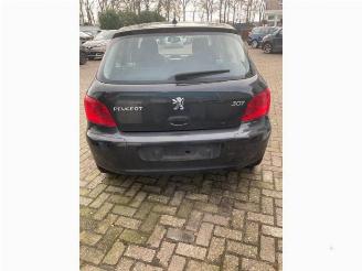 Peugeot 307 307 (3A/C/D), Hatchback, 2000 / 2009 2.0 16V picture 5