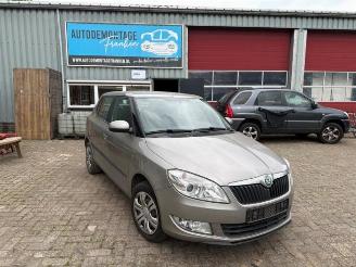 Salvage car Skoda Fabia Fabia II (5J), Hatchback 5-drs, 2006 / 2014 1.2 TSI 2011/2