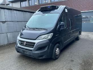 skadebil vrachtwagen Ford  Ducato 2.3 2.3 130 Koelwagen 2019/2