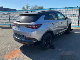 Opel Grandland 1.2 Turbo GS picture 3