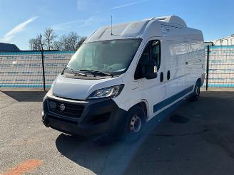 Tweedehands bestelwagen Fiat Ducato 2.3 2.3 160 Koel-vrieswagen 2021/7