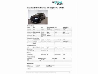 Opel Grandland 1.6 Ultimate Plug-in Hybrid picture 31