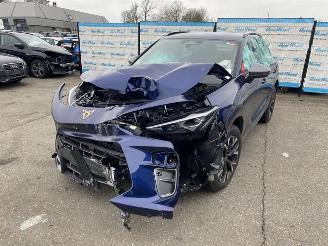 Seat Terra CUPRA Terramar 1.5 e-Hybrid 150kW picture 13