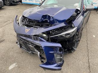 Seat Terra CUPRA Terramar 1.5 e-Hybrid 150kW picture 9