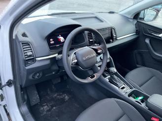 Skoda Karoq  picture 5