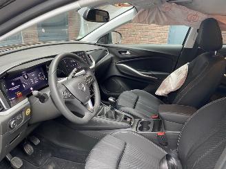 Opel Grandland X 1.2 Turbo (96kW) GS Line | Motor OK | Deutsche Brief picture 14