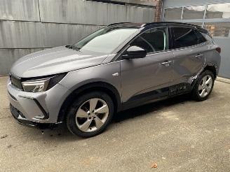 Avarii autoturisme Opel Grandland X 1.2 Turbo (96kW) GS Line 2023/6