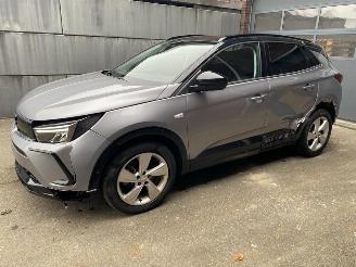 uszkodzony samochody osobowe Opel Grandland X 1.2 Turbo (96kW) GS Line - Zijschade links- en rechtsachter - Schade linksvoor - Motor ok! 2023/6
