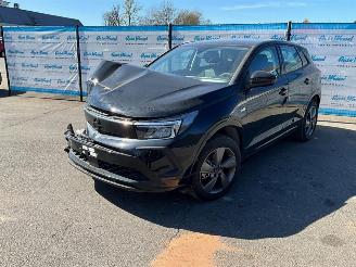 Coche accidentado Opel Grandland (X) 1.2 Turbo (96kW) GS 2024/1