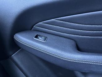 Mercedes ML 250 BlueTEC AMG Panoramadak picture 27