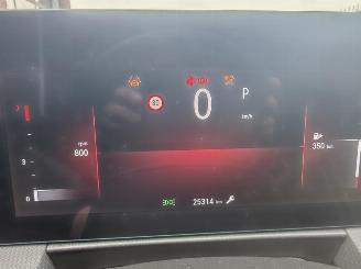 Opel Astra Sports Tourer GS 1.2 Turbo (96 kW/130 PS) AT-8 Start/Stop Matrix picture 17