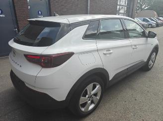 Opel Grandland X Business Edition Plug-in-Hybrid 225 PK picture 3
