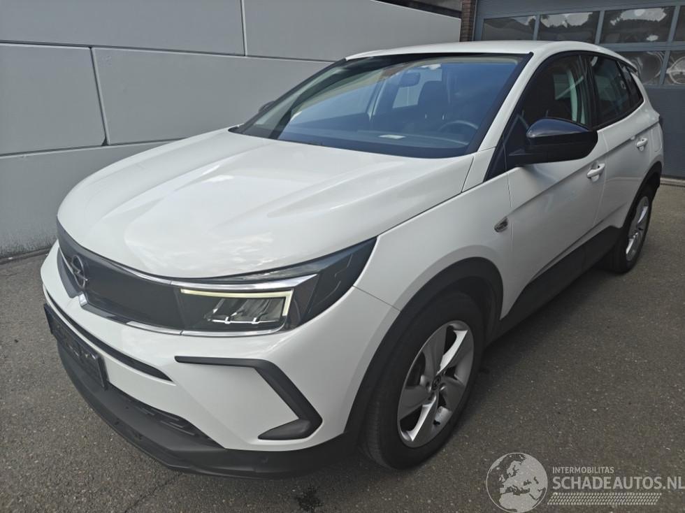 Opel Grandland X Business Edition Plug-in-Hybrid 225 PK