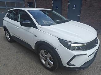 Opel Grandland X Business Edition Plug-in-Hybrid 225 PK picture 4