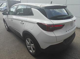 Opel Grandland X Business Edition Plug-in-Hybrid 225 PK picture 2