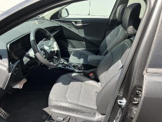 Kia e-Niro EV Light 64.8 kWh SOH 100% picture 20