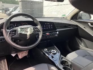 Kia e-Niro EV Light 64.8 kWh SOH 100% picture 19