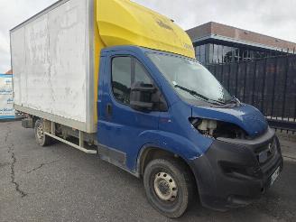 krockskadad bil bedrijf Fiat Ducato 120 MaxiRS: 3000 mm 130 PK Koffer 2021/6