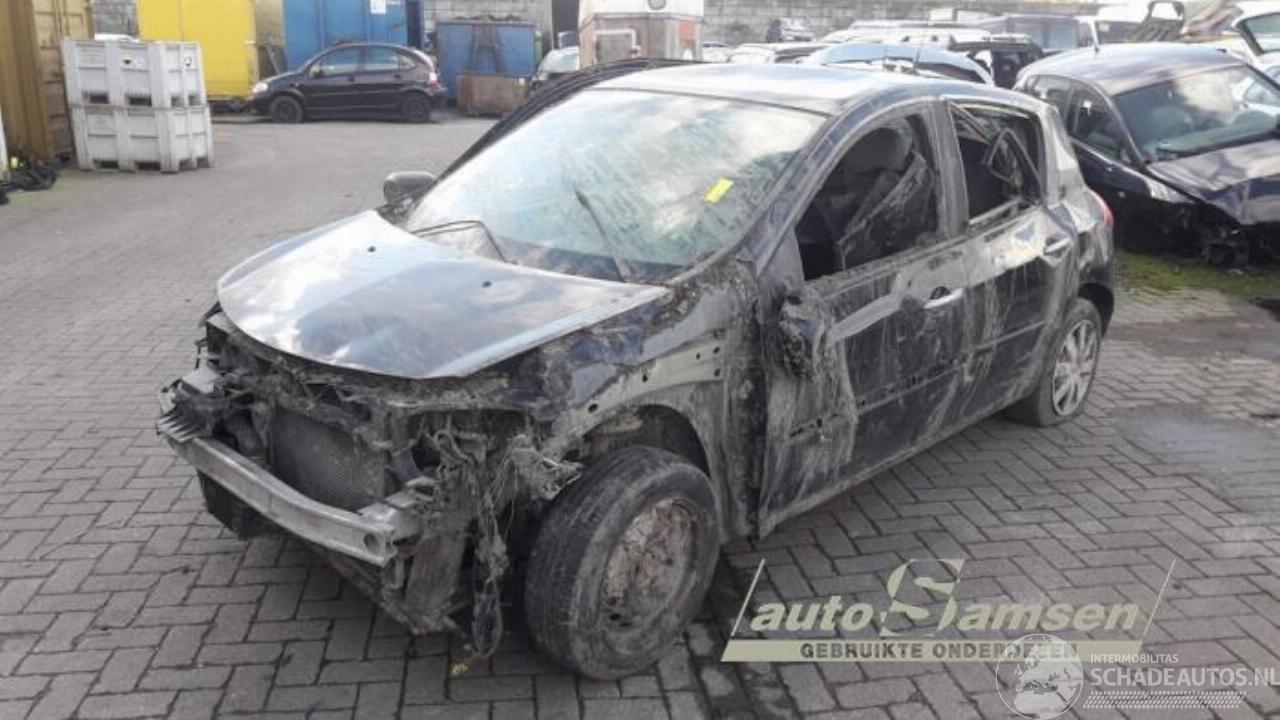 Renault Clio Clio III (BR/CR), Hatchback, 2005 / 2014 1.5 dCi FAP
