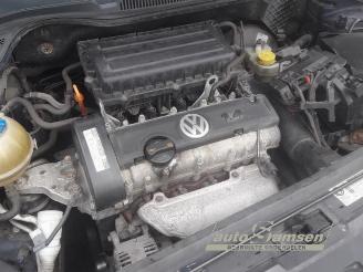 Volkswagen Polo Polo V (6R), Hatchback, 2009 / 2017 1.4 16V picture 25
