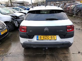 Citroën C4 cactus  picture 4