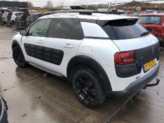 Citroën C4 cactus  picture 5