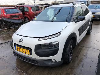 Citroën C4 cactus  picture 6