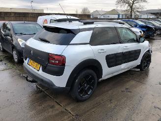 Citroën C4 cactus  picture 3