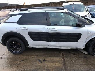 Citroën C4 cactus  picture 2