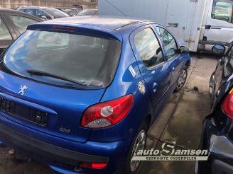 Peugeot 206 206+ (2L/M), Hatchback, 2009 / 2013 1.4 XS picture 4