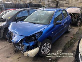 Peugeot 206 206+ (2L/M), Hatchback, 2009 / 2013 1.4 XS picture 2